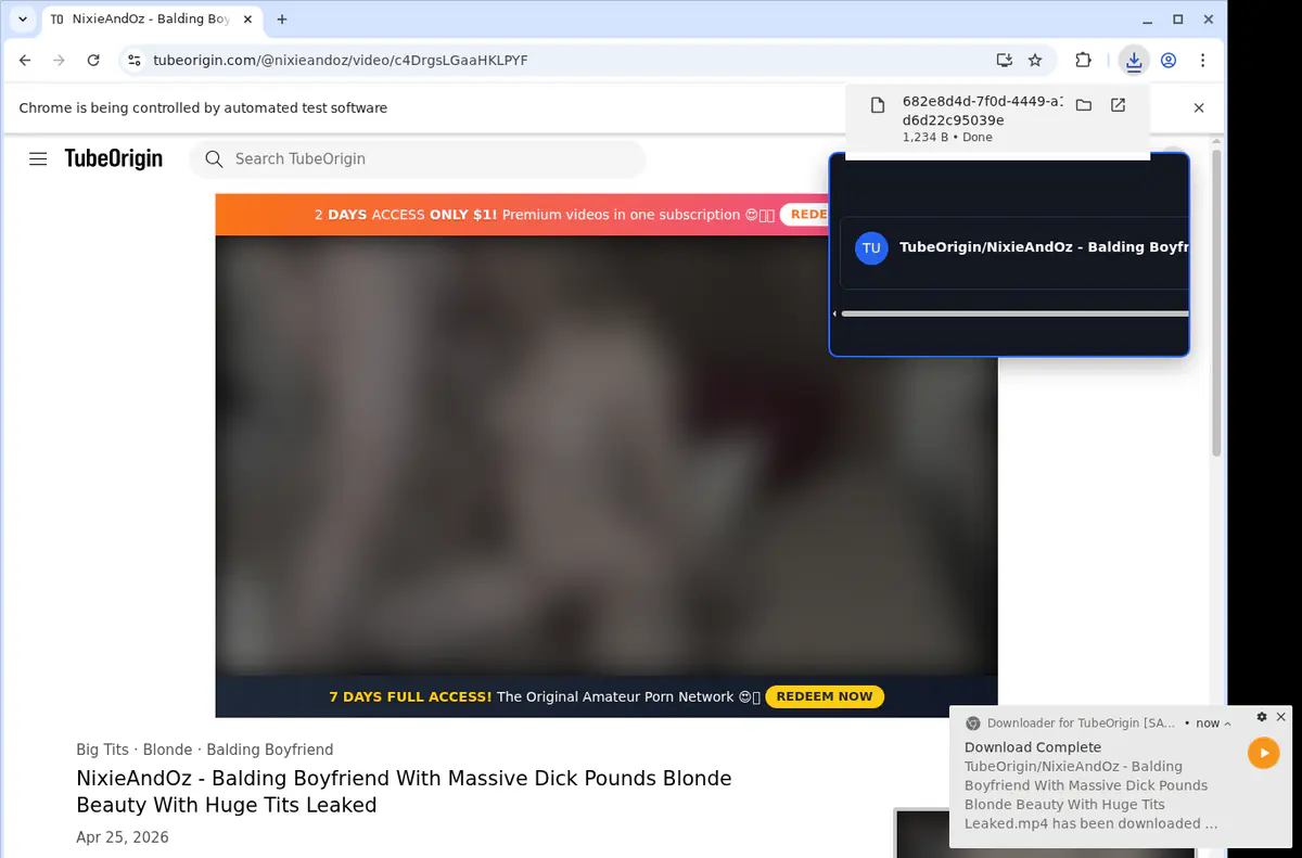 Tubeorigin Video Downloader screenshot 2