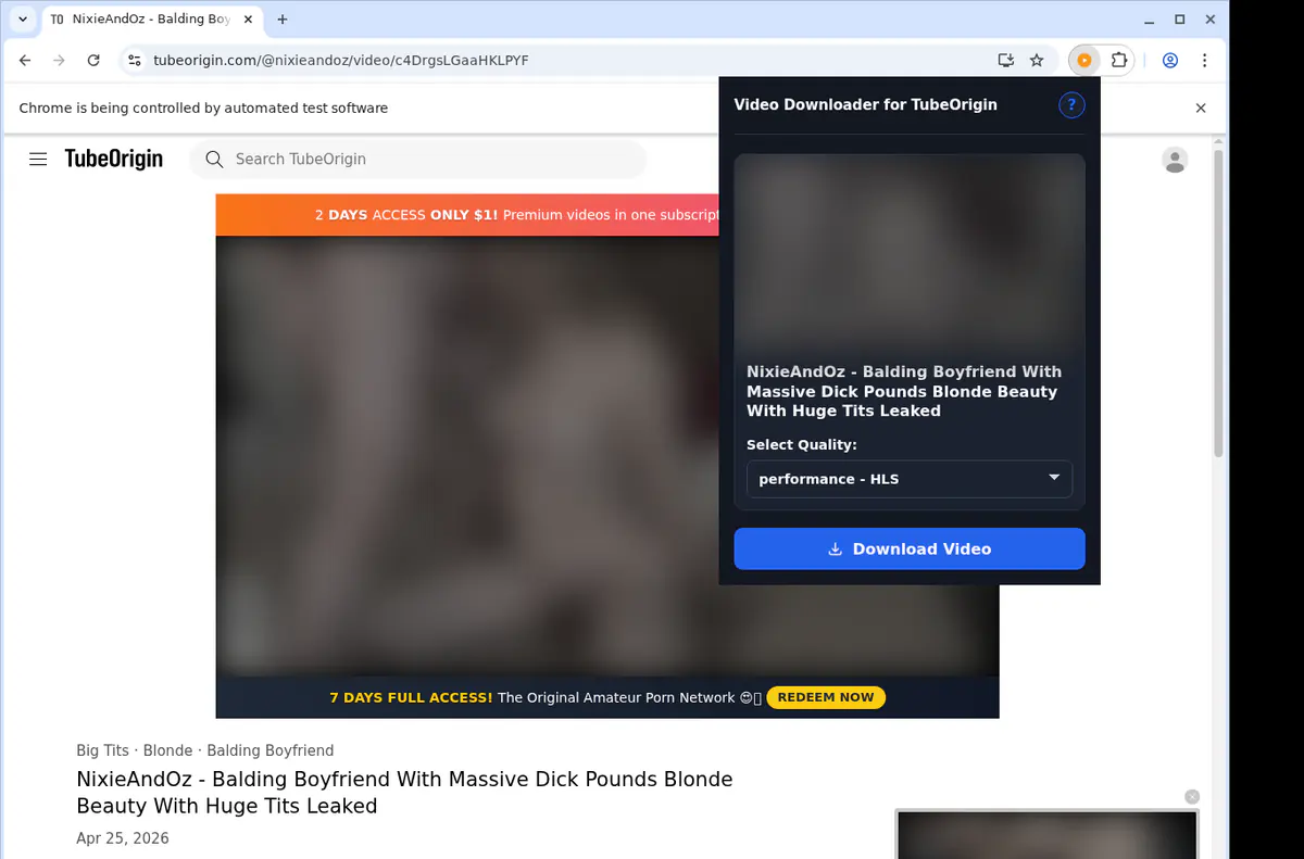 Tubeorigin Video Downloader screenshot 3